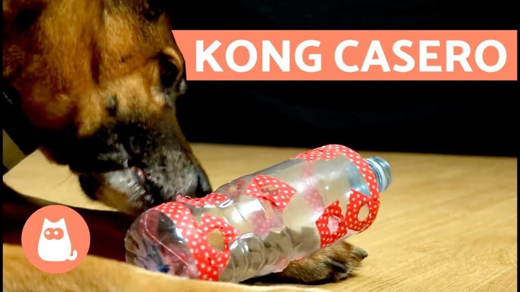 perro jugando con juguetes caseros hechos a mano